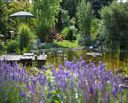 Natur Im Garten
