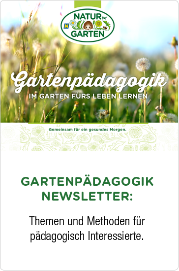 Gartenpädagogik Newsletter